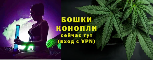прущая мука Нея