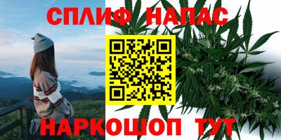 бошки Вязьма