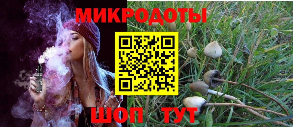 Владимир  Галлюциногенные грибы ЛСД  Галлюциногенные грибы MAGIC MUSHROOMS  Вход с VPN 